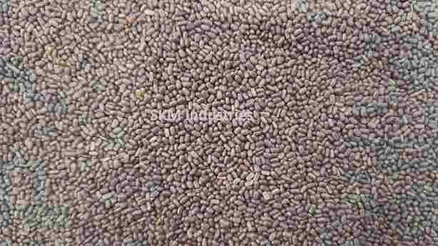 Sesbania seed